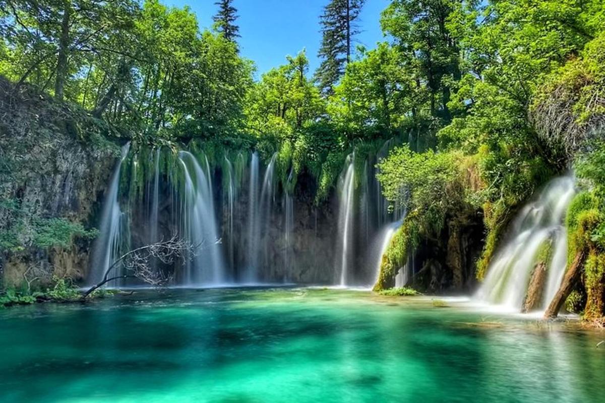 a waterfall in a forest with green water