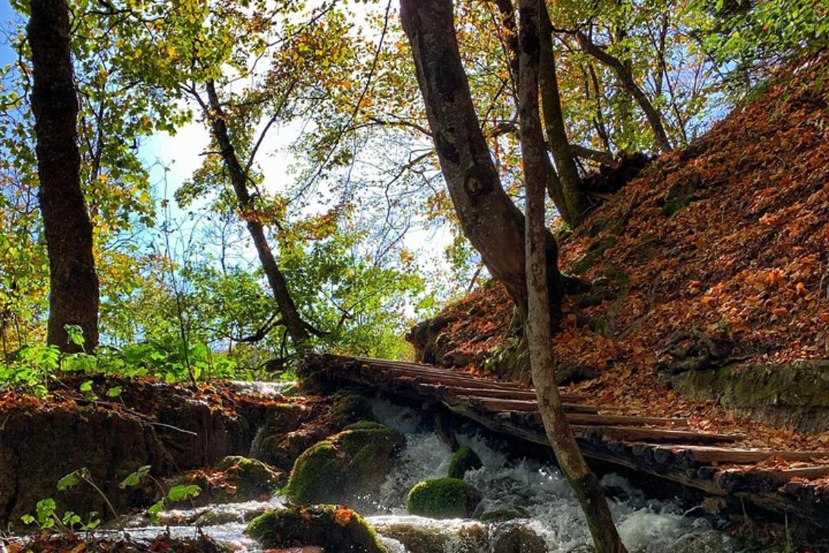 a river with stairs next to a hill with trees