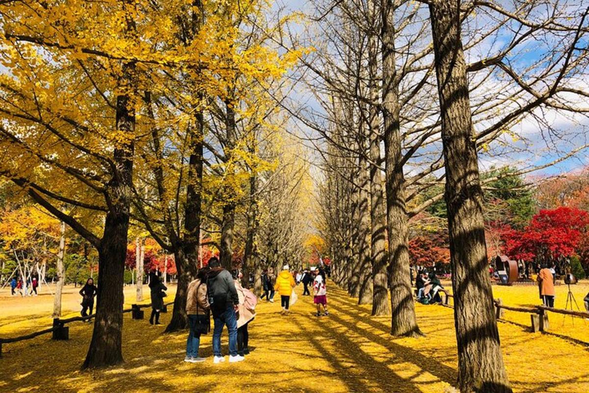 un gruppo di persone che camminano in un parco con alberi