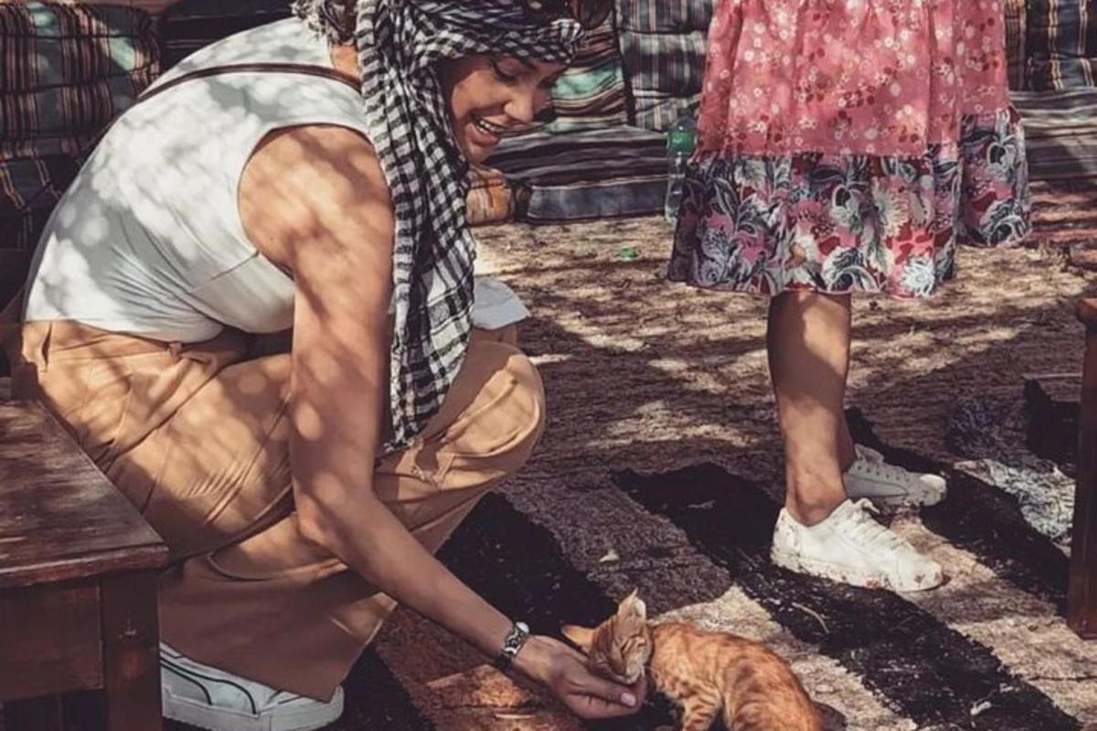 uma mulher está acariciando um gato ao lado de uma pessoa