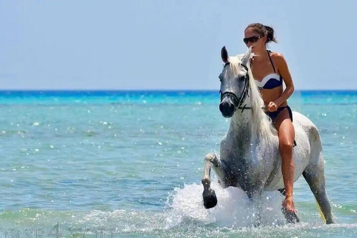 eine Frau, die auf einem Pferd im Meer reitet