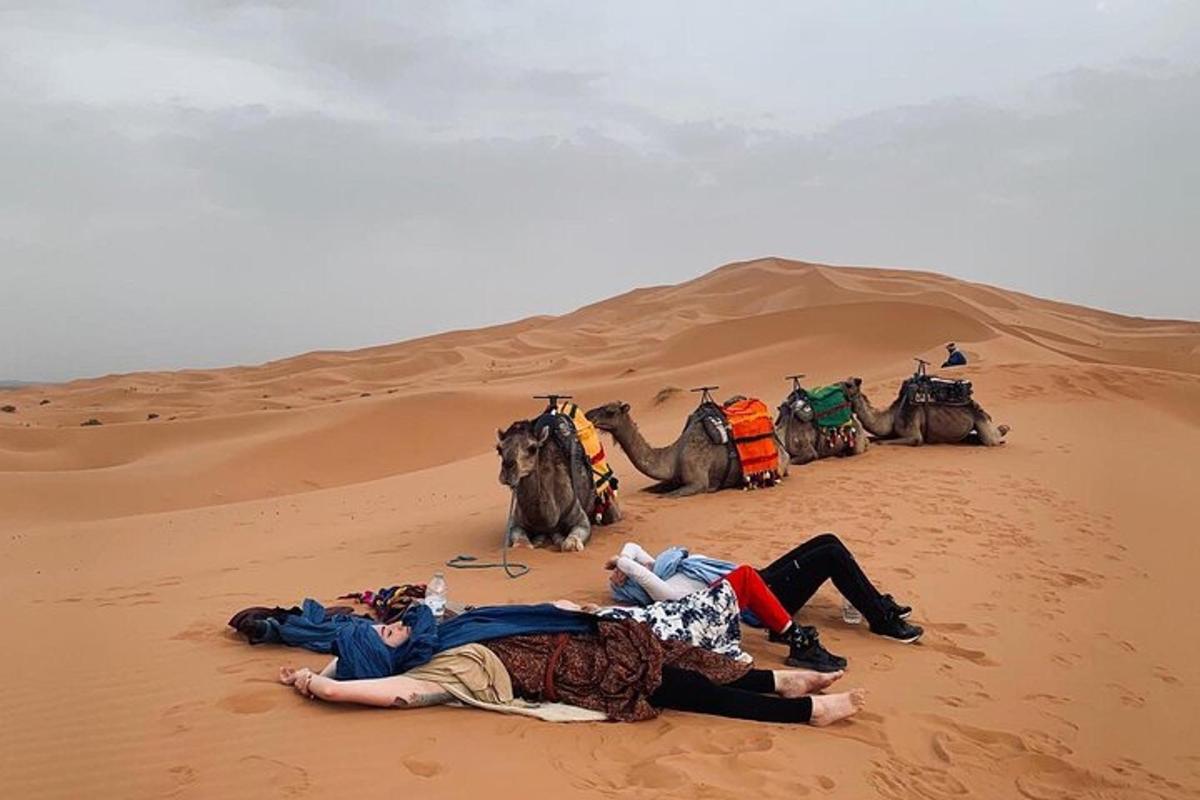 a group of people laying in the desert with elephants