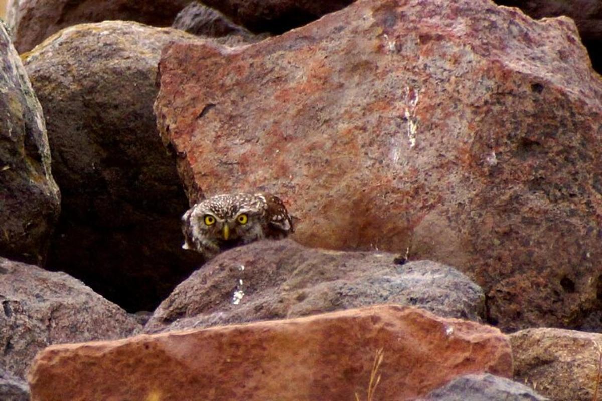 Fotografia 3 a atracției