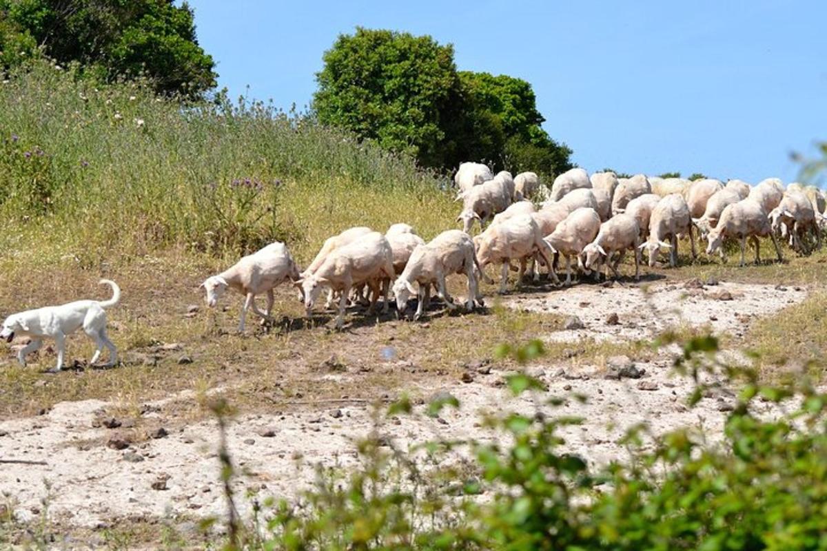 Fotografia atrakcie č. 4