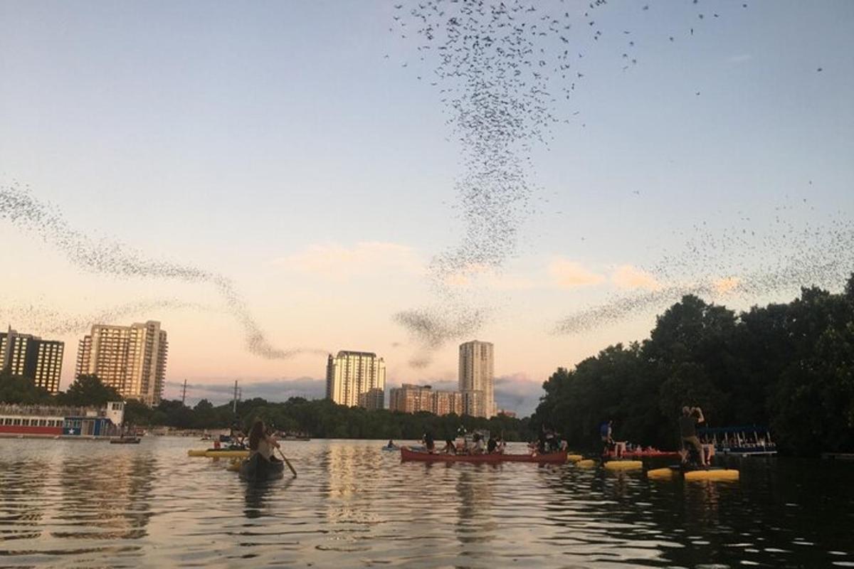 Fotografia da atração 4