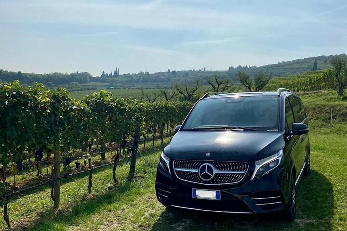 Černá dodávka Mercedes Benz zaparkovaná ve vinici