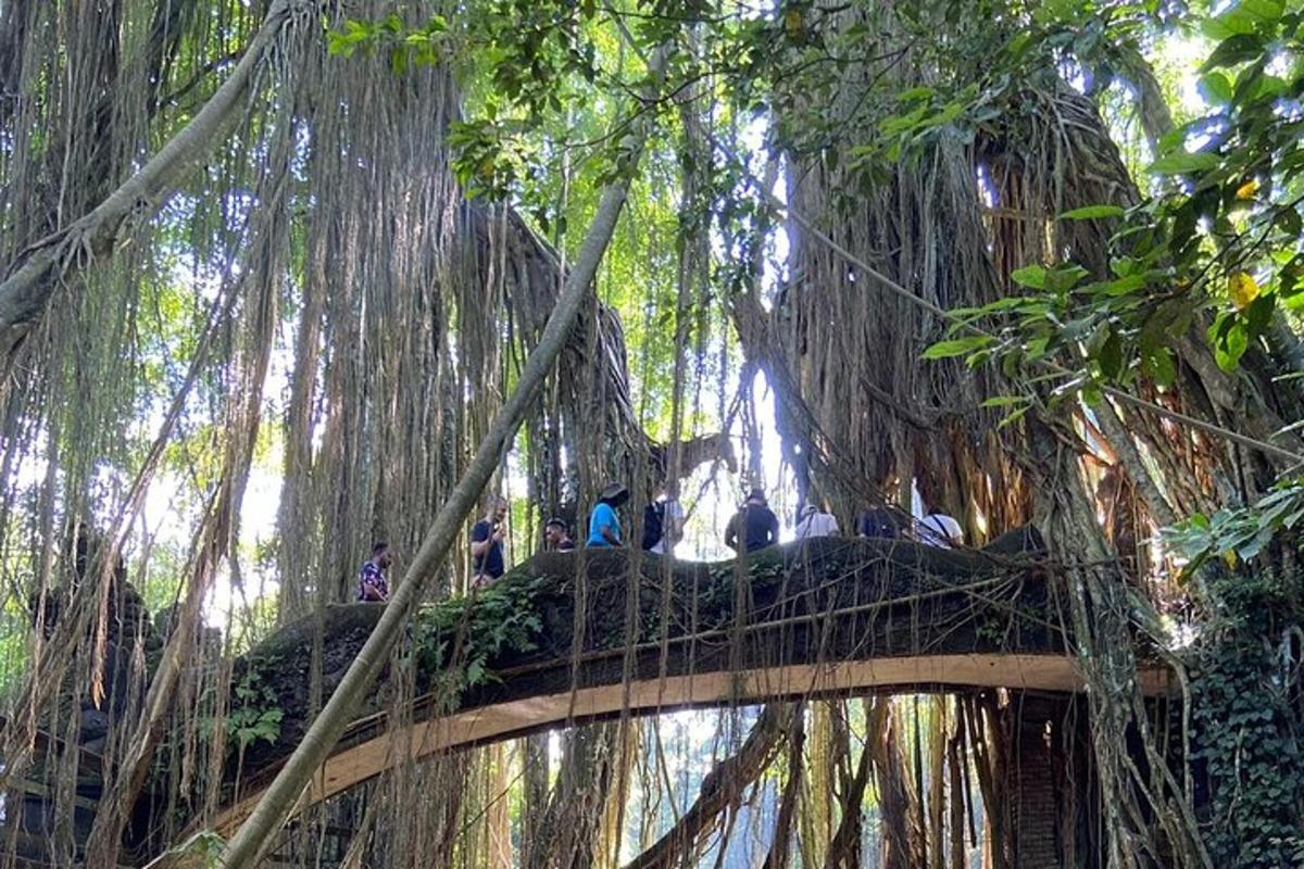 eine Brücke in einem Baum mit Menschen darauf