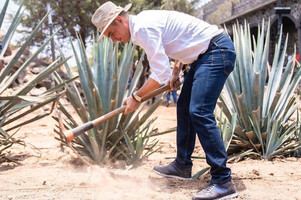 Imagen número 6 de la atracción