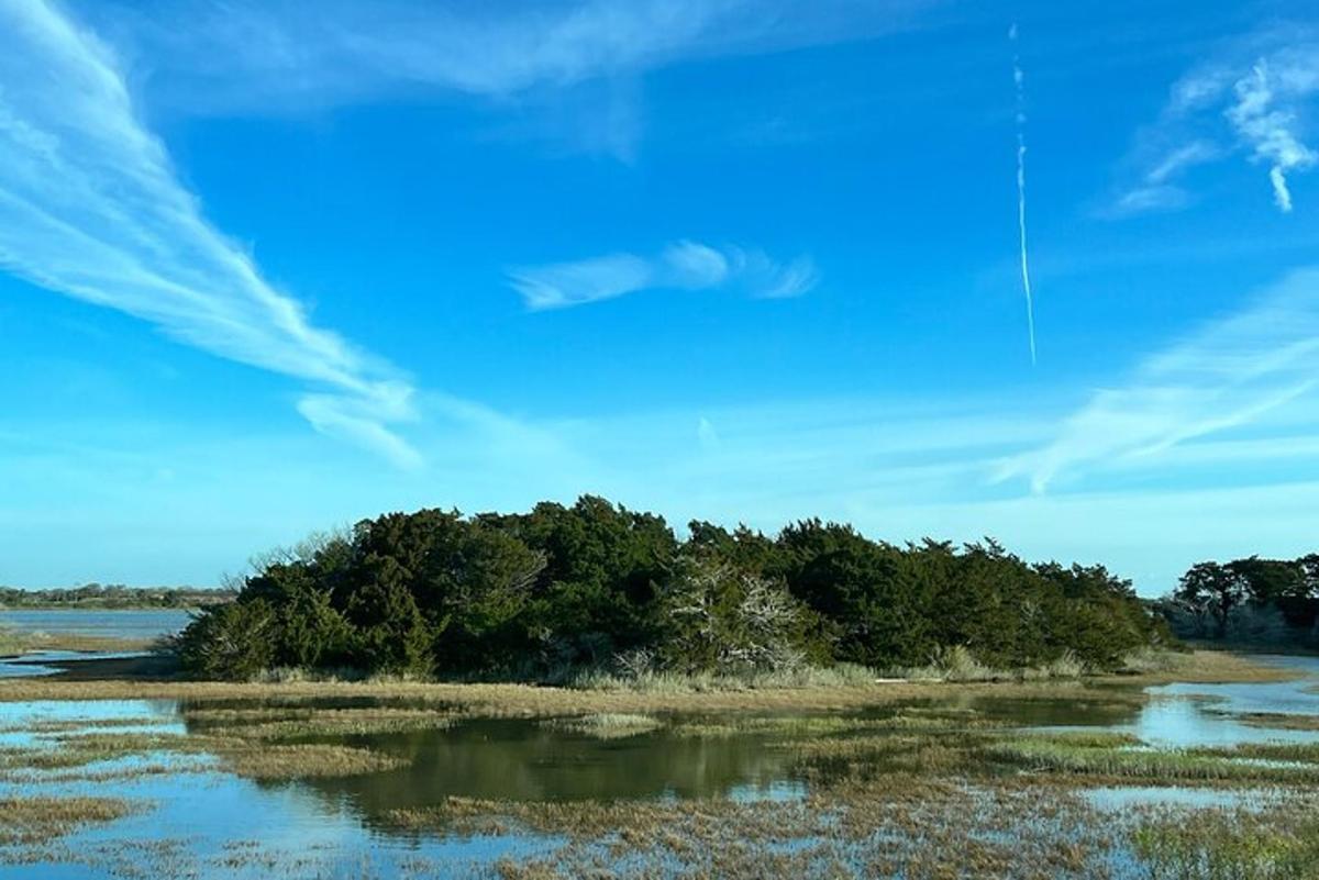 Fotografia da atração 7