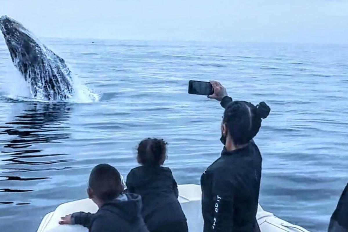 una persona che scatta una foto di una balena in acqua