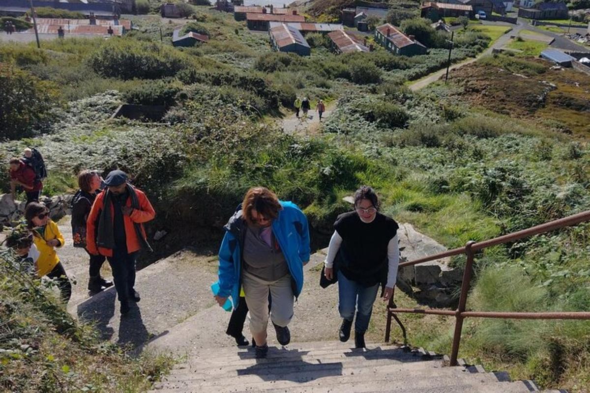 Lankytinos vietos ar pramogos nuotrauka numeris 3