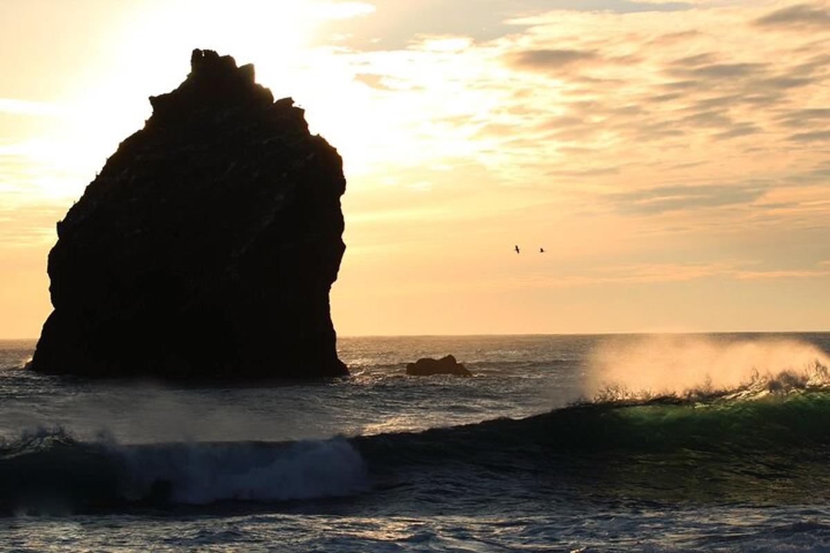 un gros rocher dans l'océan avec des vagues et des oiseaux