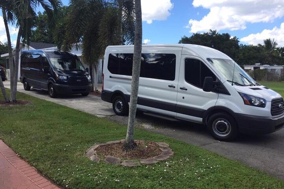 uma van branca está estacionada ao lado de uma palmeira