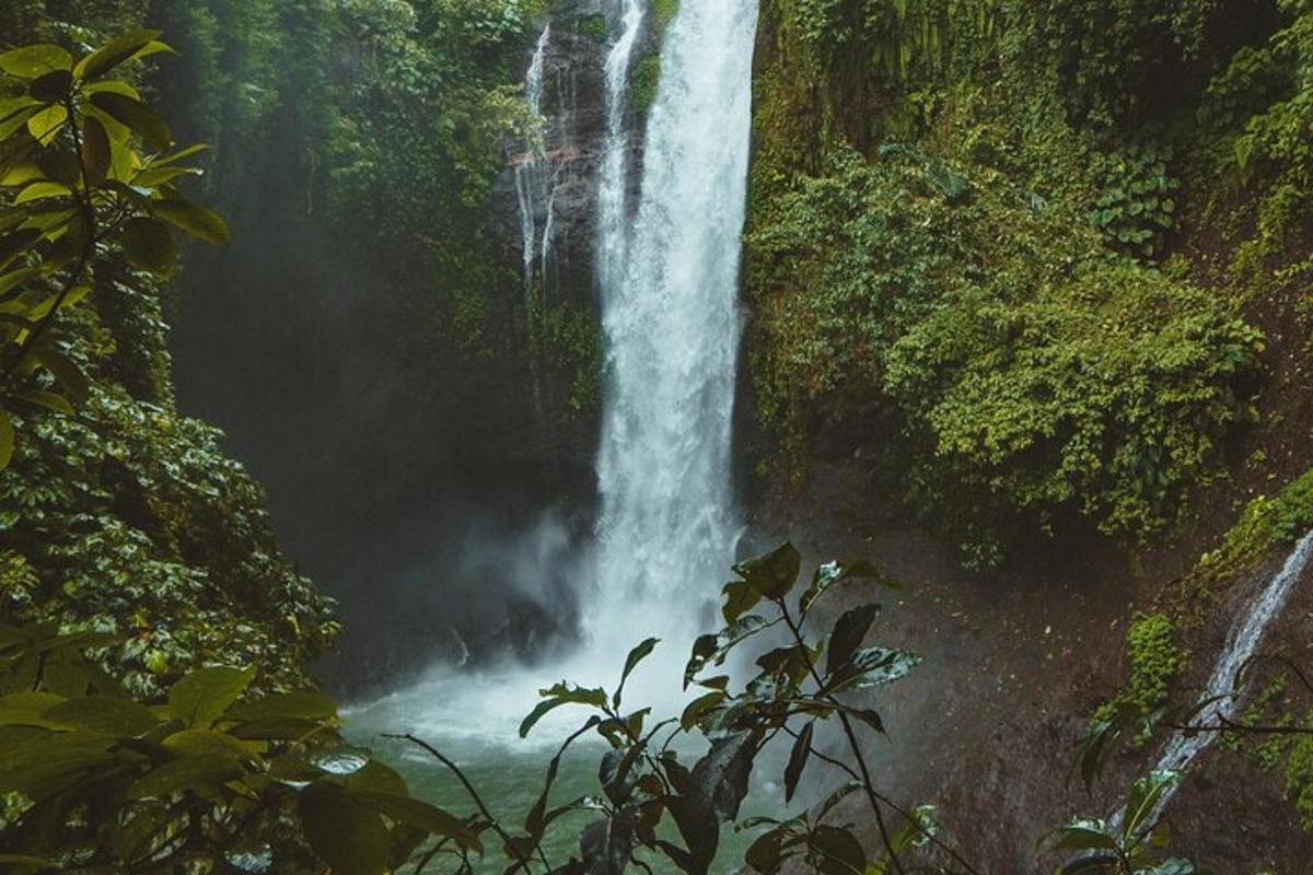 a waterfall in the middle of a forest