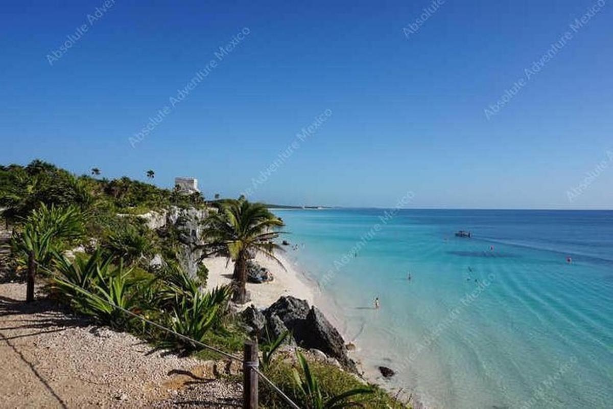 una spiaggia con palme e l'oceano