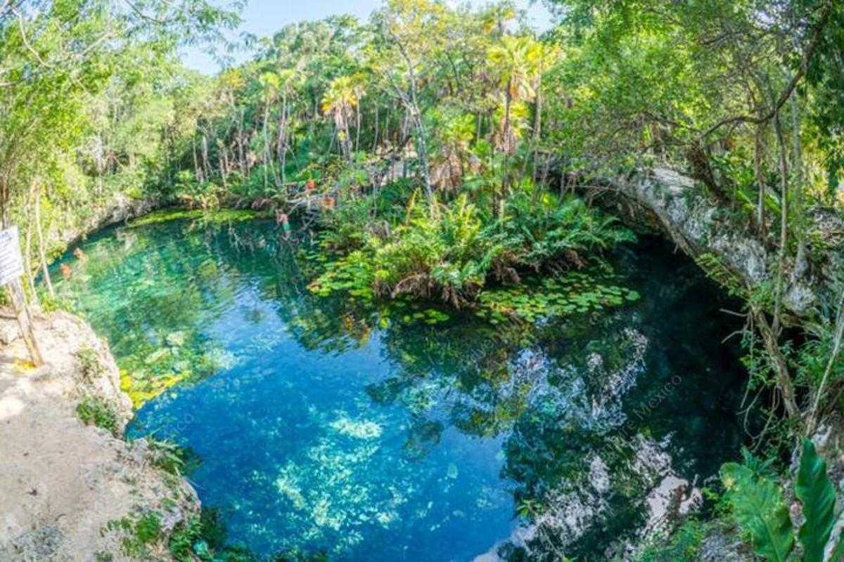 kolam air biru di tengah-tengah hutan
