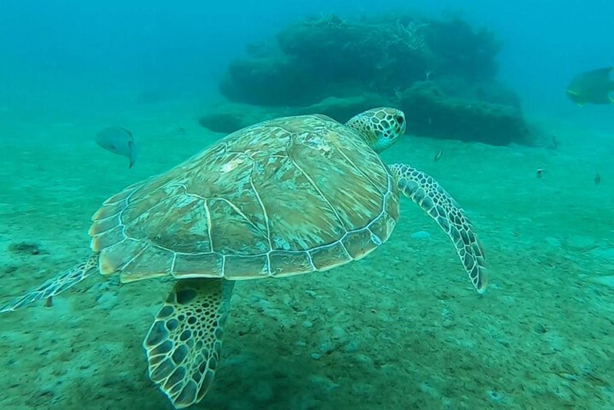 Foto 1 da atração