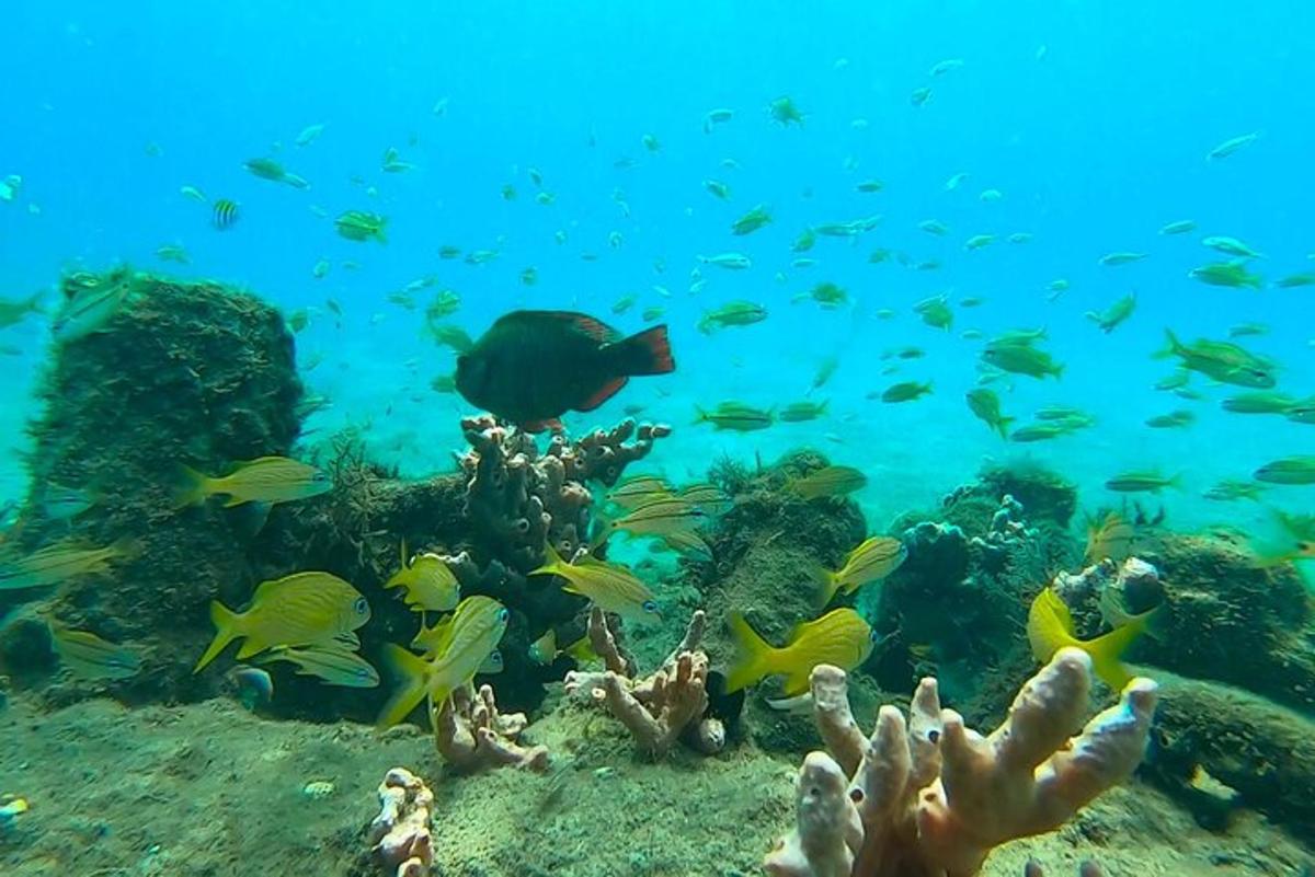 Lankytinos vietos ar pramogos nuotrauka numeris 4