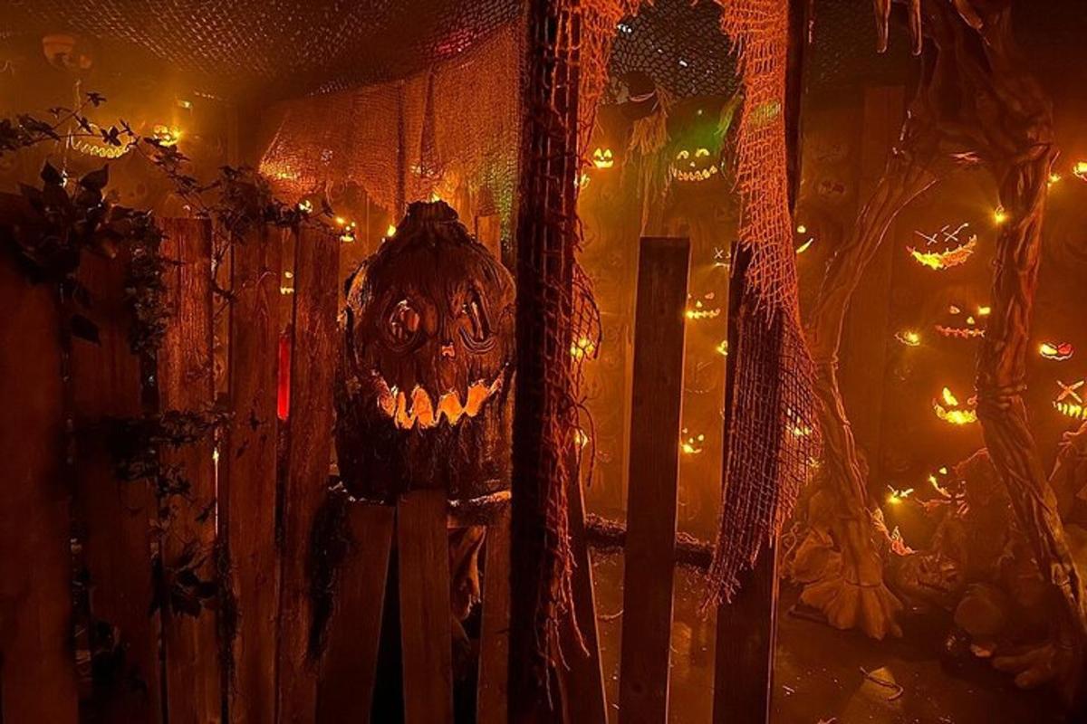 a halloween decoration on a wall with christmas lights