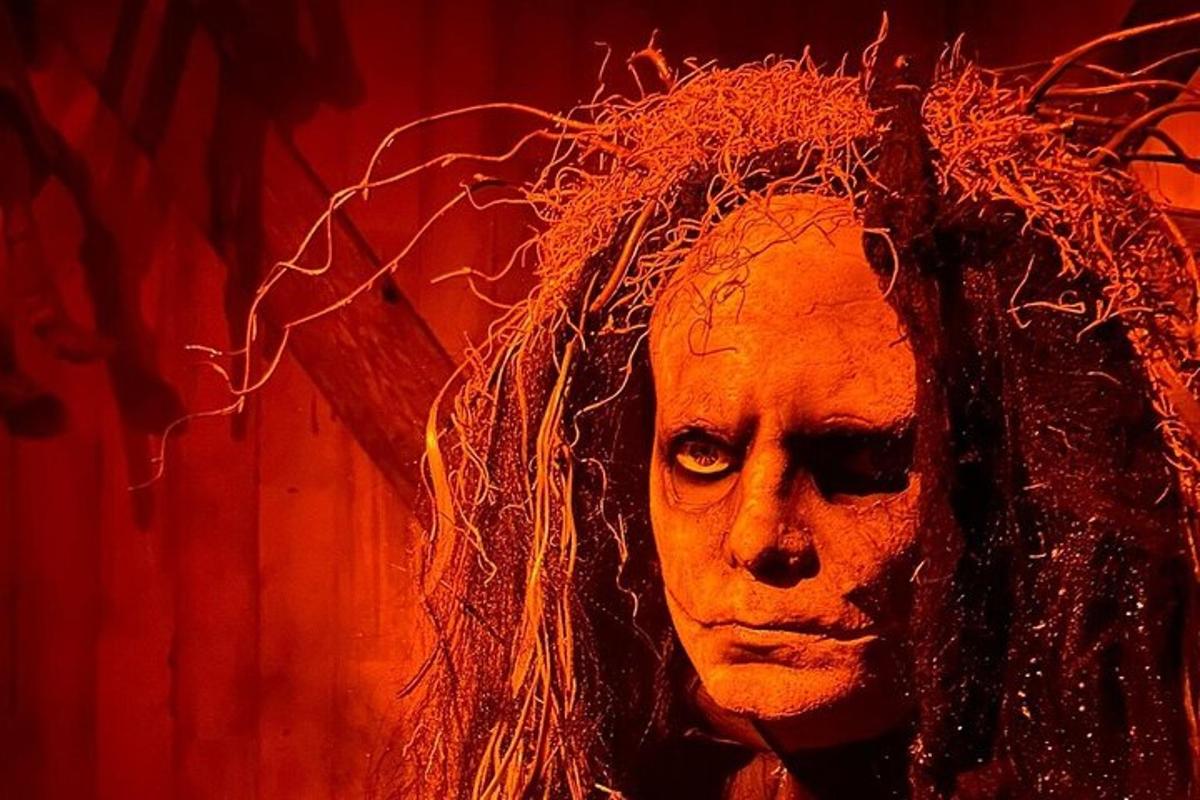 a picture of a woman with long hair