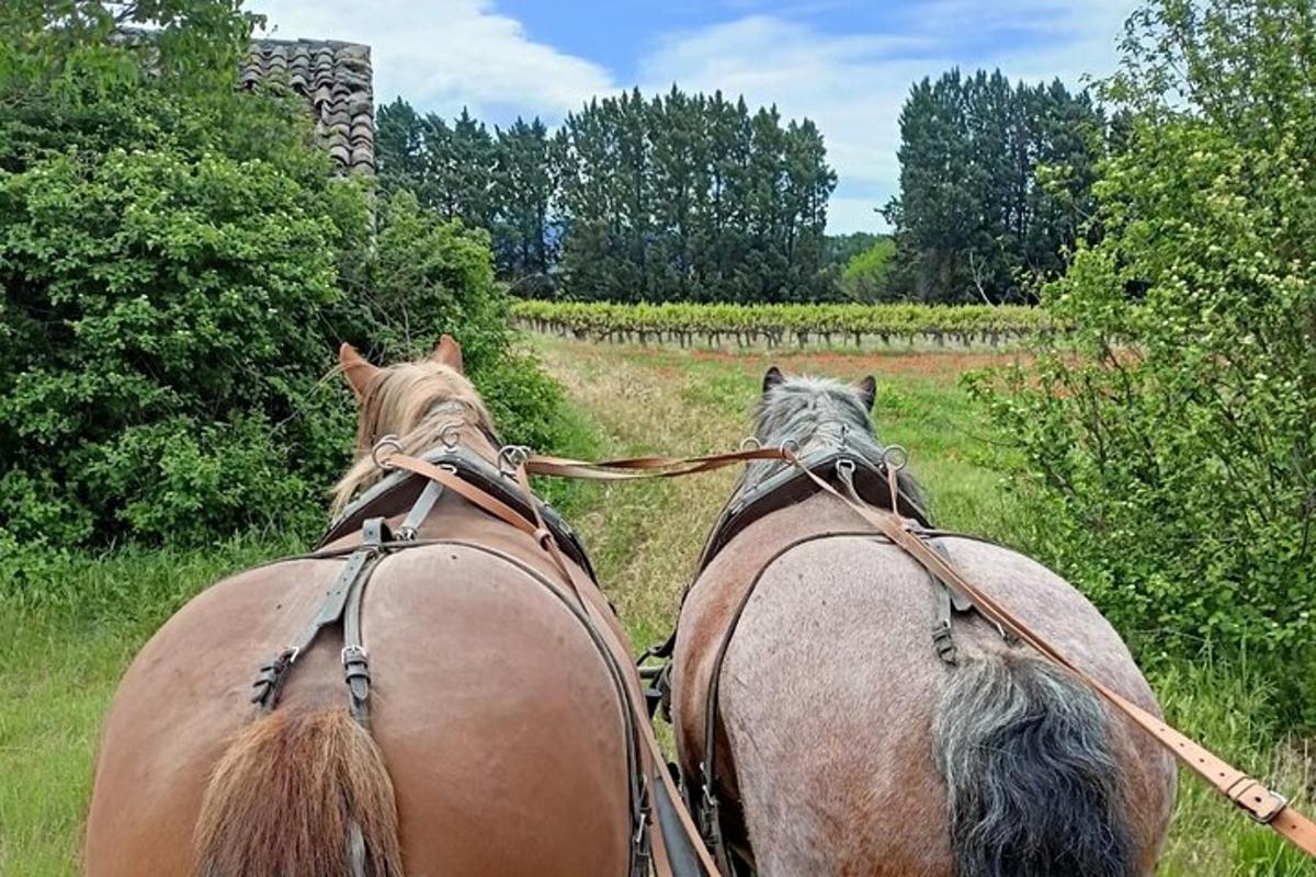 Bilde 3 av attraksjonen