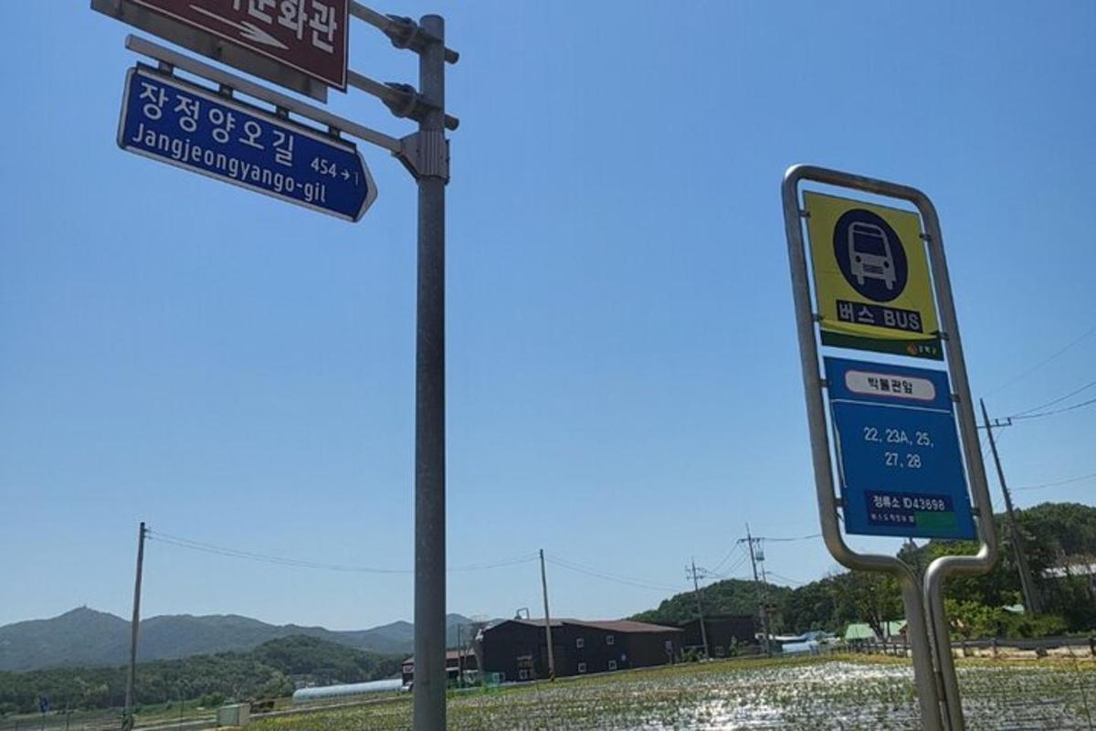 투어 액티비티 사진 4번