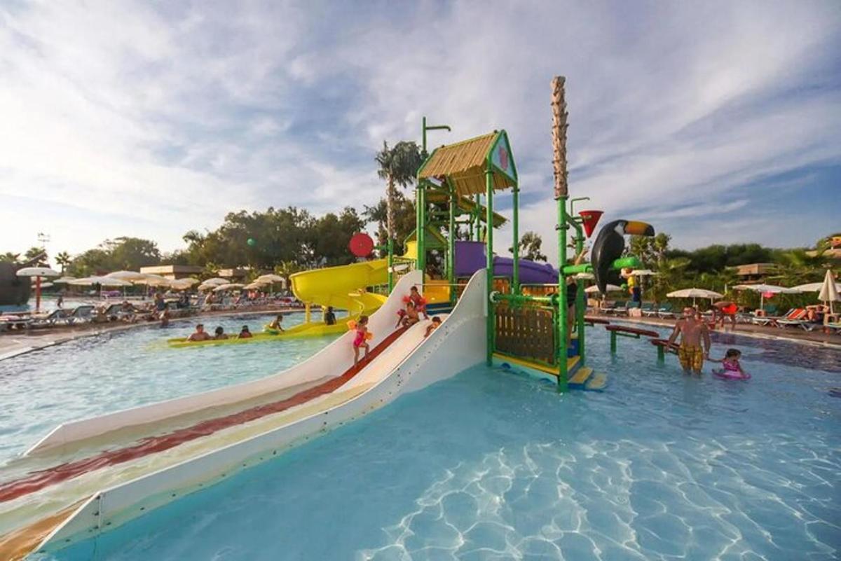 Attraction picture 7
