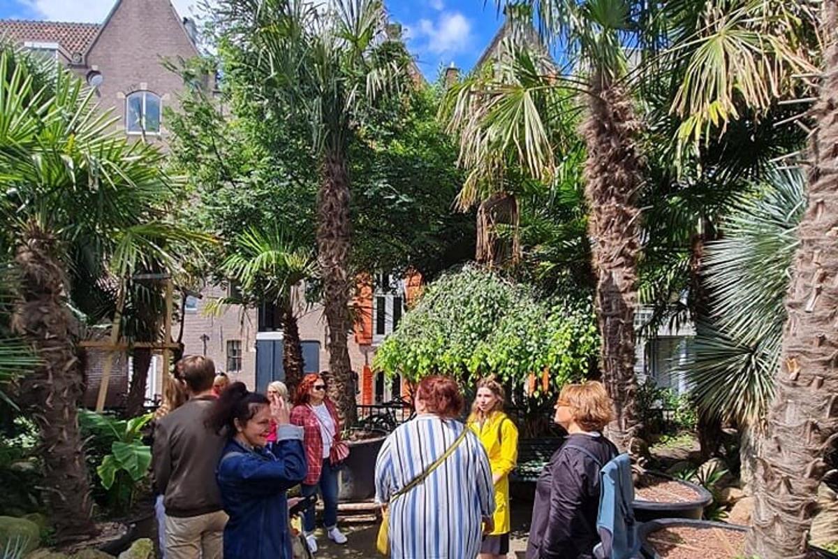 קבוצת אנשים עומדת בגינה עם עצי דקל