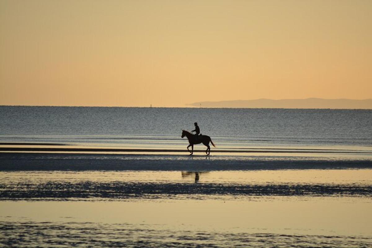 en person som rir på en hest på stranden