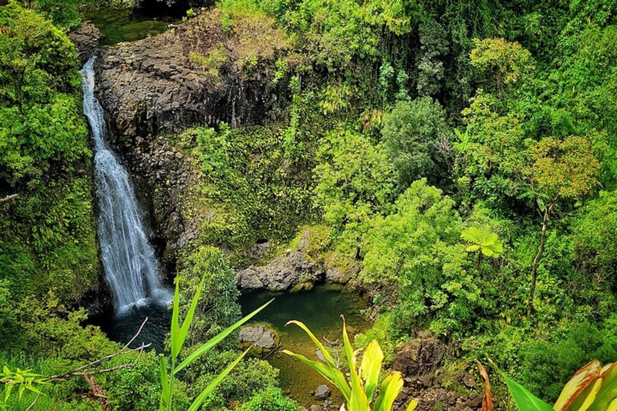 an aerial view of a waterfall in a forest