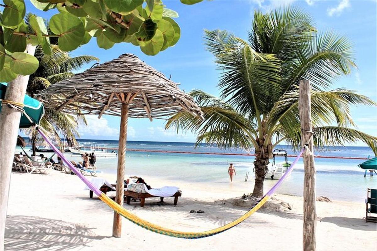 buaian di pantai dengan pokok palma dan lautan