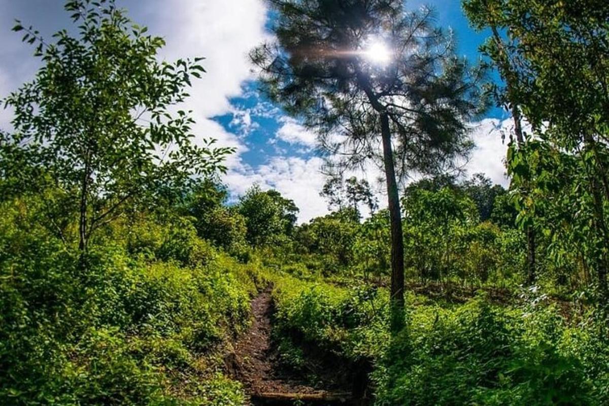 Fotografia da atração 2