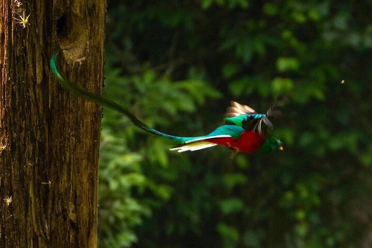 Fotografia da atração 3