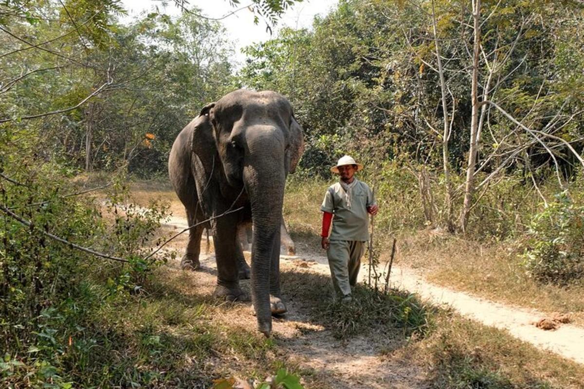 un bărbat care stă lângă un elefant pe un drum de pământ