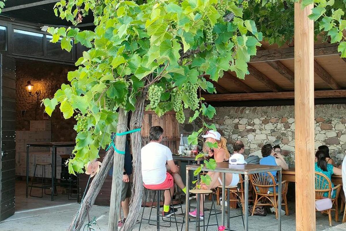 a group of people sitting at a table under a tree