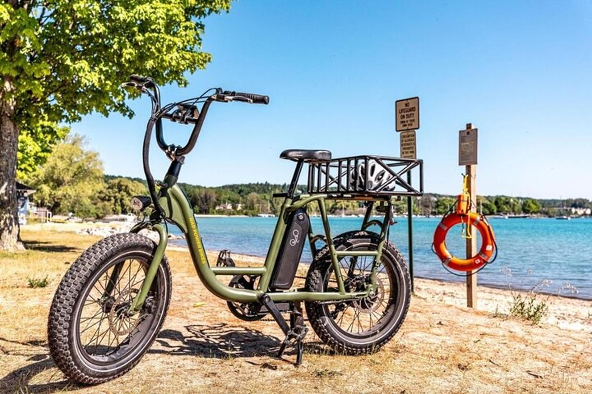 a green bike parked next to a body of water
