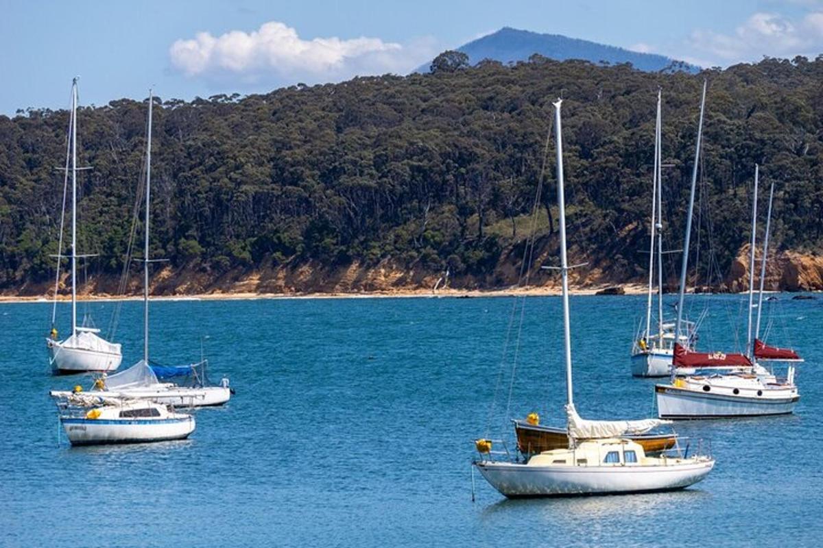 a group of boats sitting in the water