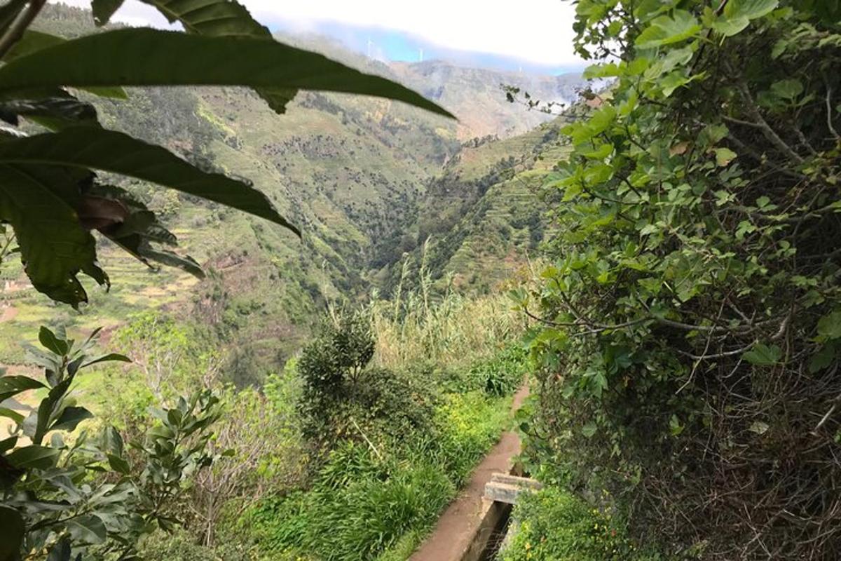 Fotografia da atração 6
