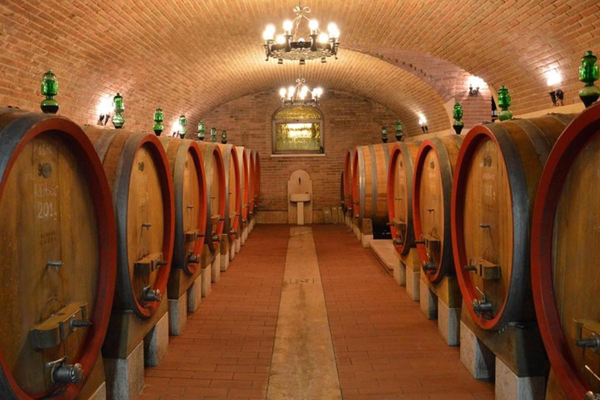 una fila di botti di vino in una cantina