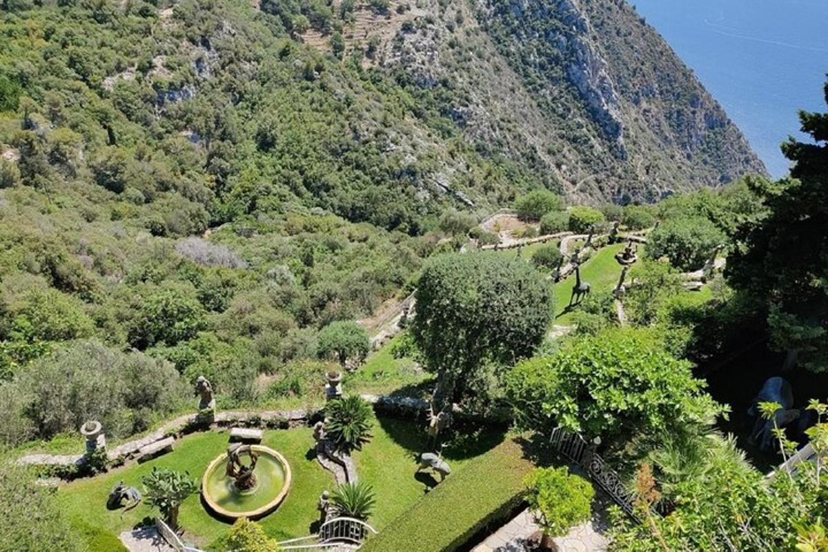 ein Blick auf einen Garten mit einem Berg im Hintergrund