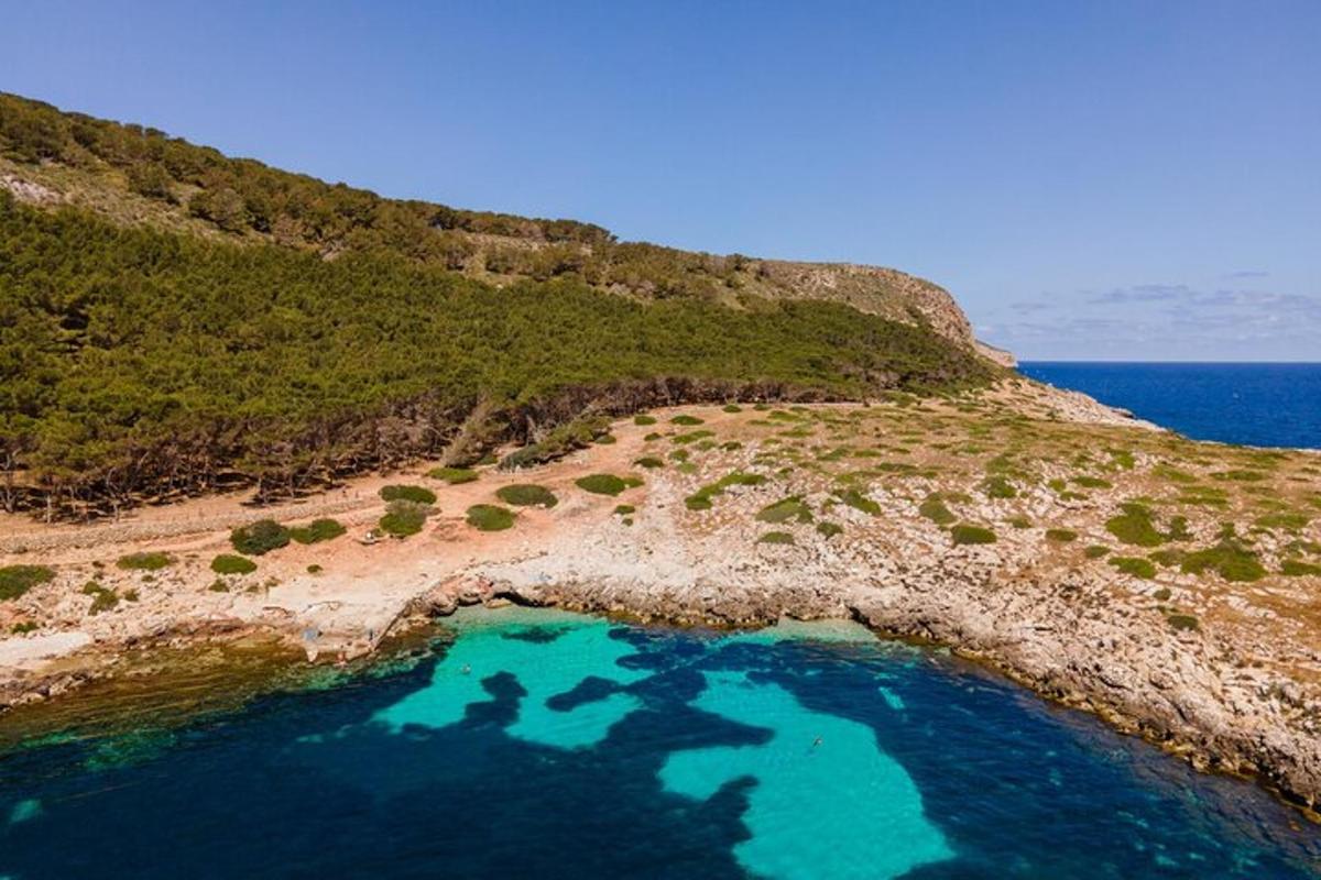 pemandangan udara pulau dengan air biru