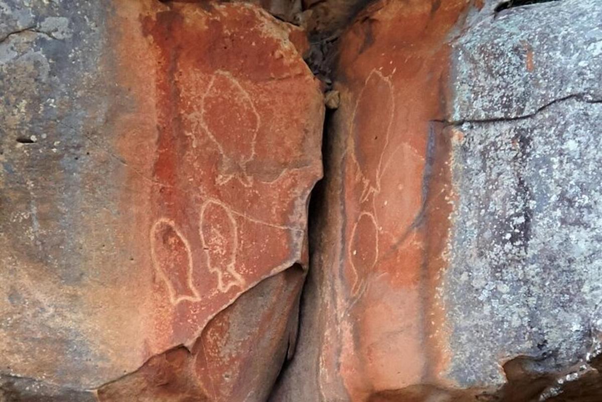 Una pared de roca con dibujos de animales.
