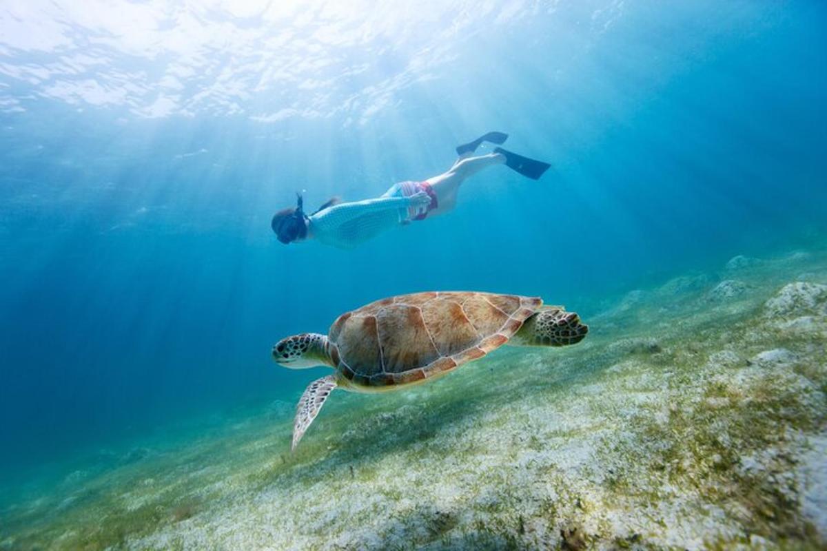 Lankytinos vietos ar pramogos nuotrauka numeris 2