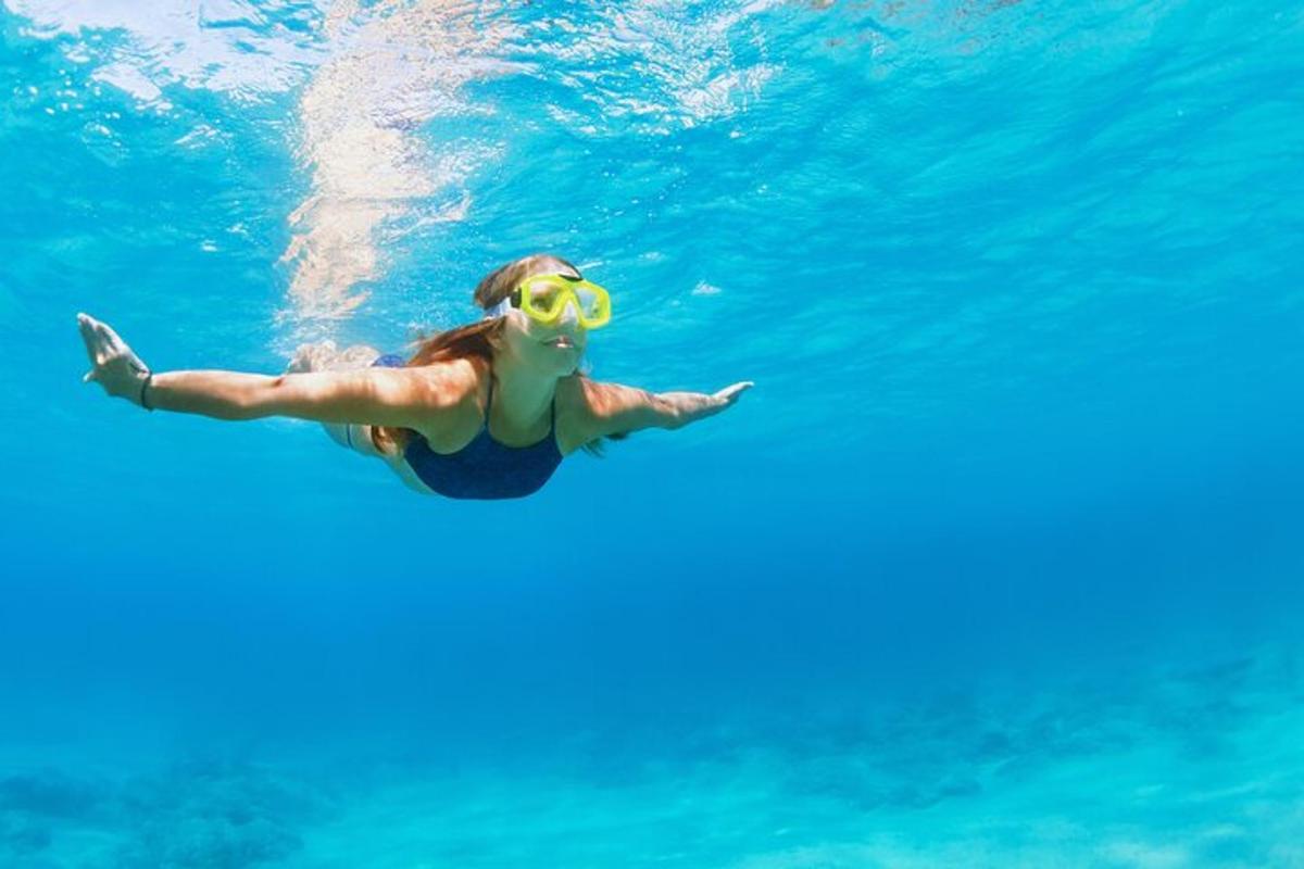 Lankytinos vietos ar pramogos nuotrauka numeris 5