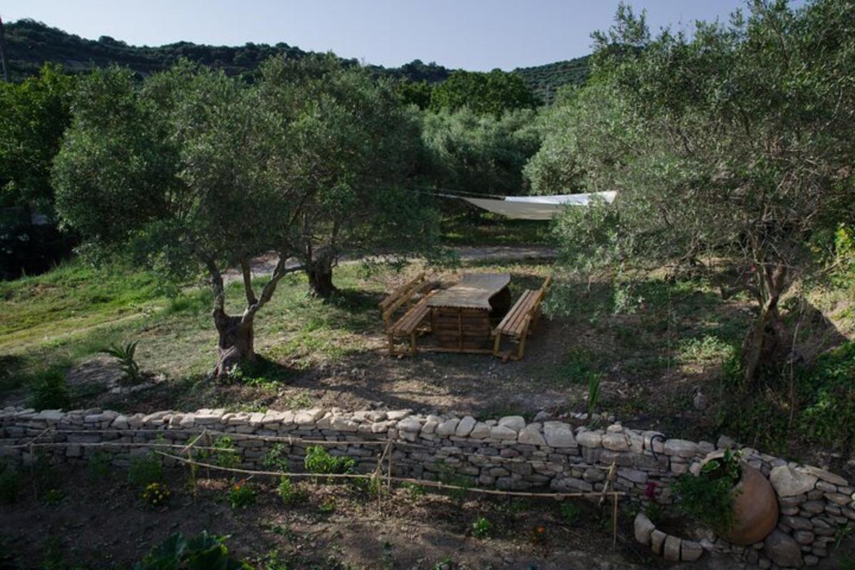 ένας κήπος με πέτρινο τοίχο και ένα δέντρο