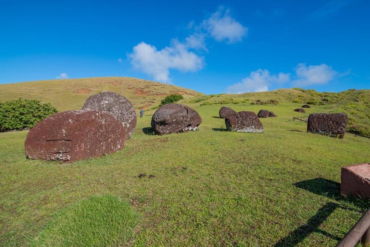 a group of rocks sitting on a grassy hill