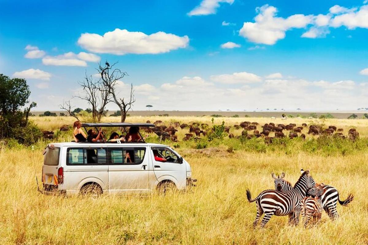 un grup de persones en un vehicle en un camp amb zebres