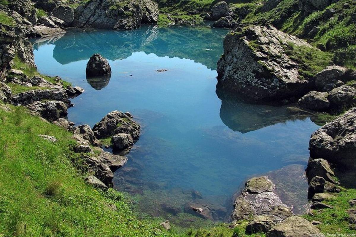 una grande piscina d'acqua con rocce in un campo