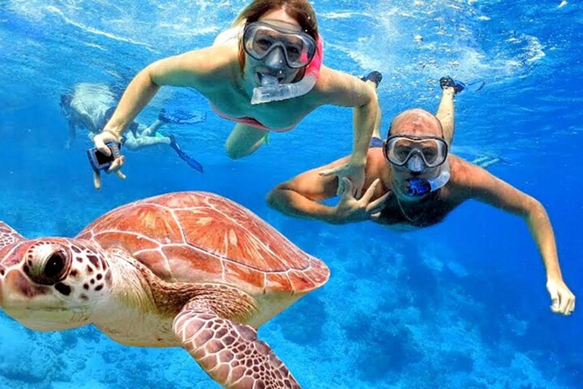hai người và một con rùa biển trong nước