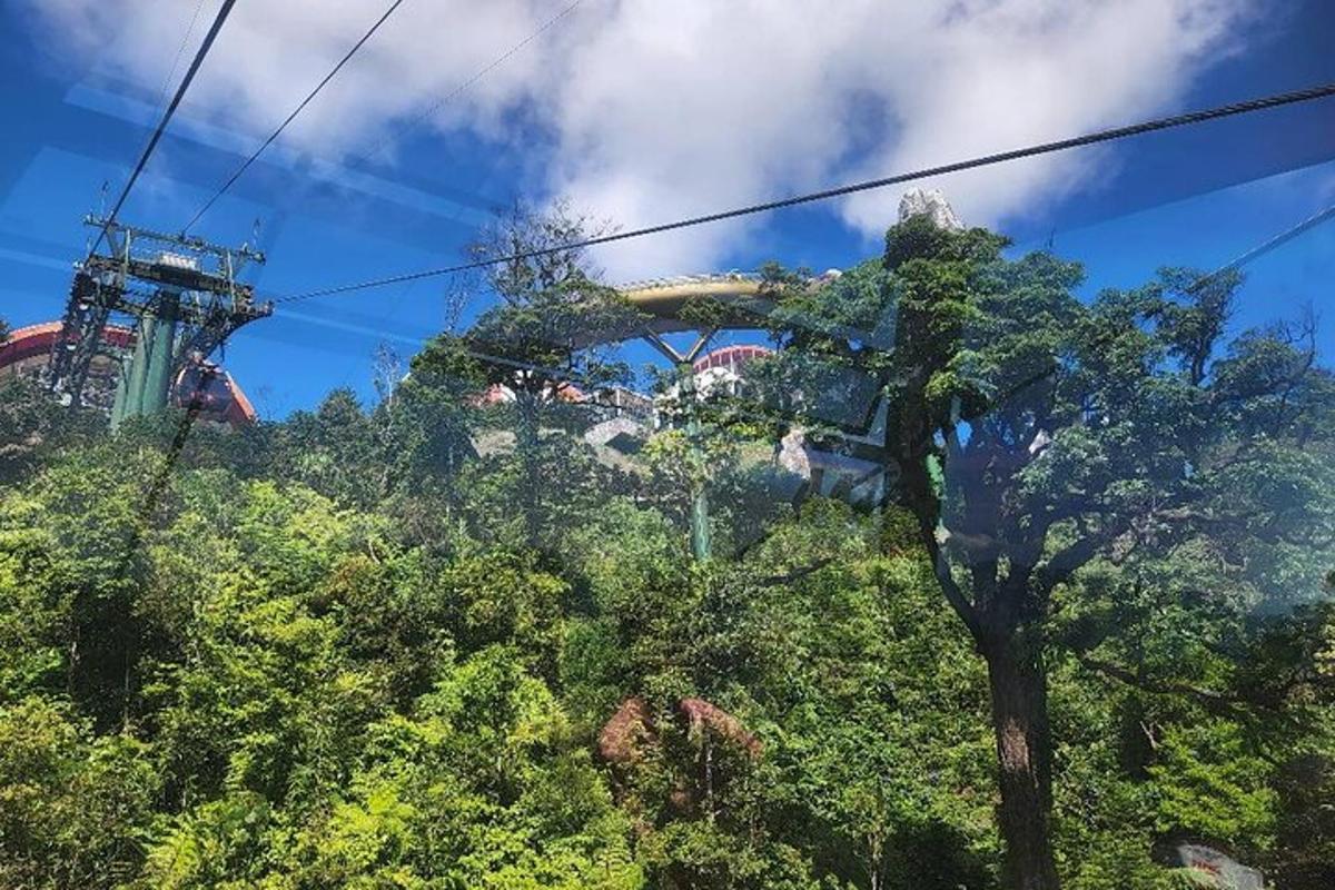 Una montaña rusa subiendo una colina con árboles.